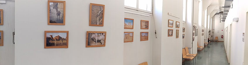 Sie sehen einen Flur im ersten Stock des Instituts. Rechts sind die Büros der Lehrenden, links an der Wand hängen Bilder aus und von Afrika.
